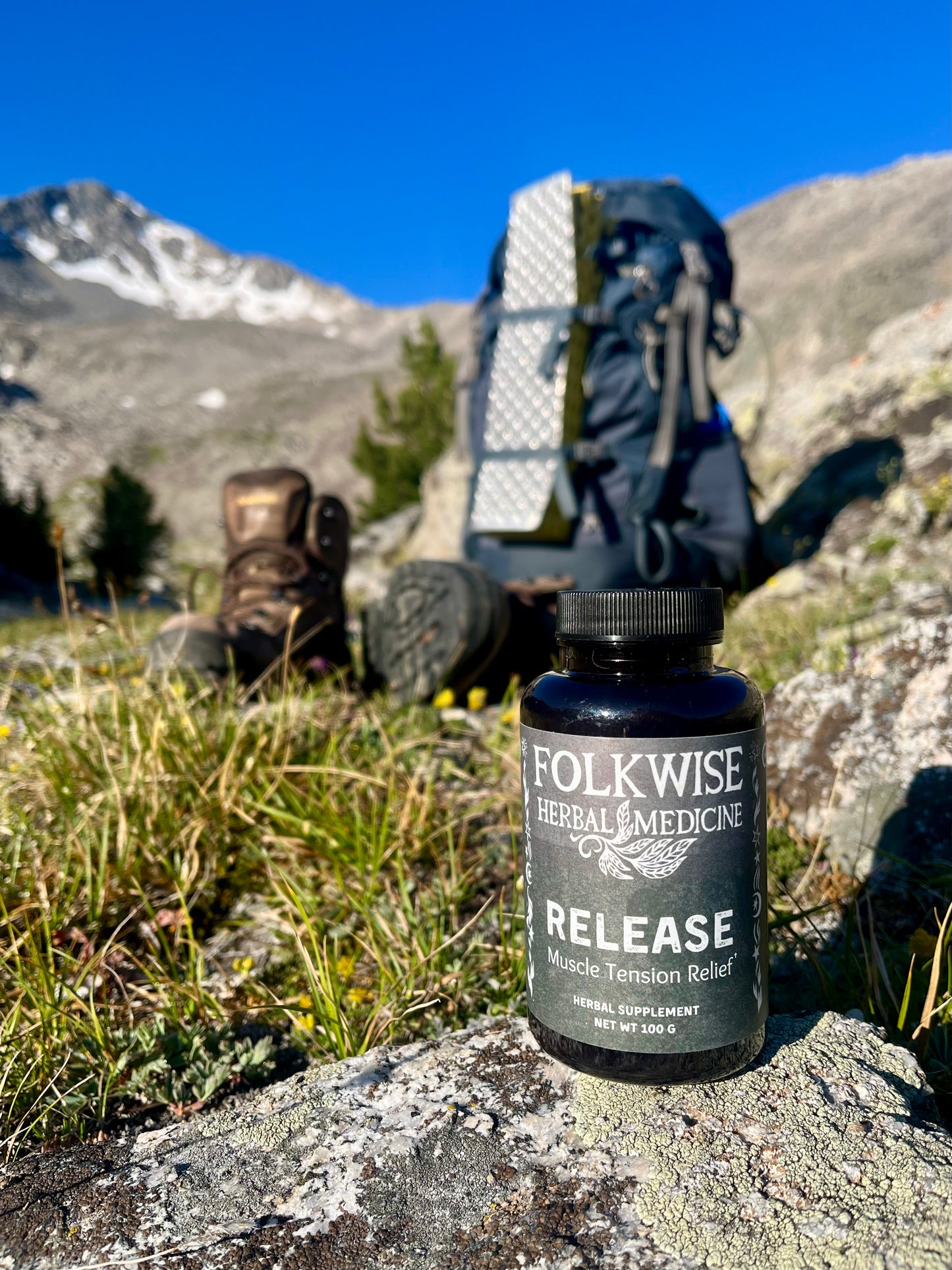 Folkwise Release
